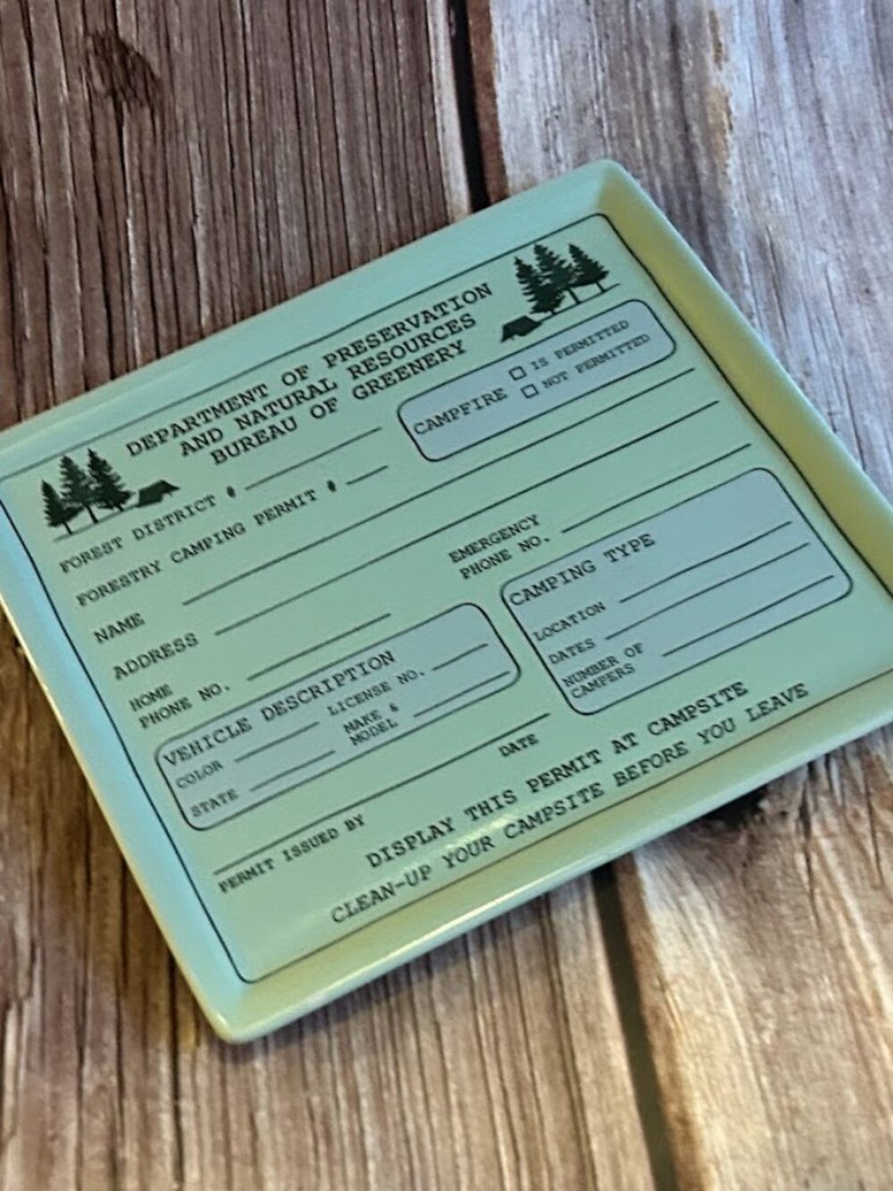 Rare Fishs Eddy for West Elm light green ceramic Campsite Permit tray